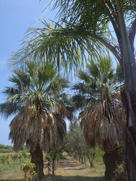 كروباني Agriturismo Torre Del Golfo المظهر الخارجي الصورة